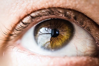 Human eye.